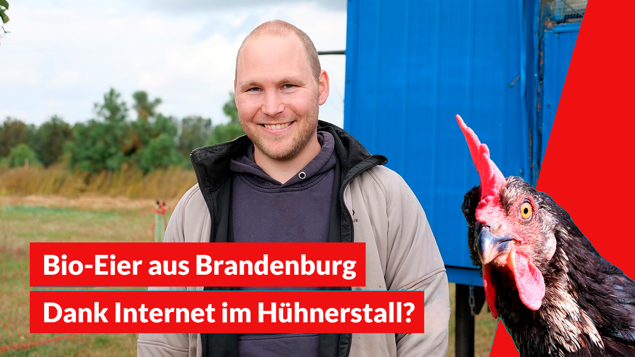 Wie kommt das Internet in den mobilen Hühnerstall?