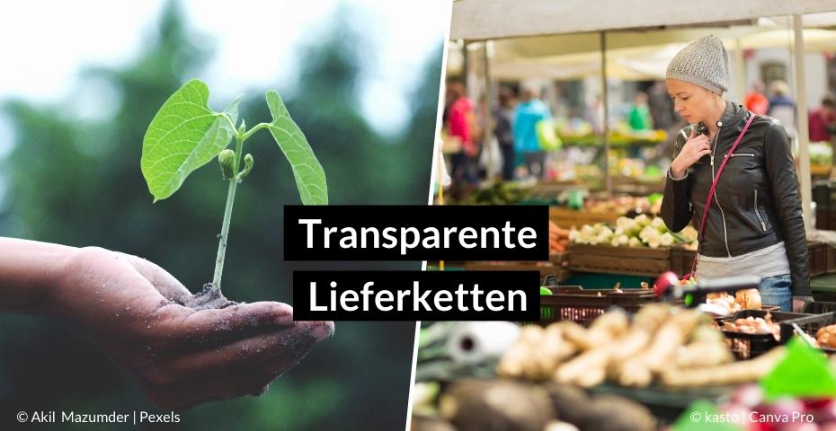 Transparente Lieferketten – von einfachen Chip-Lösungen bis zur Zukunft Blockchain