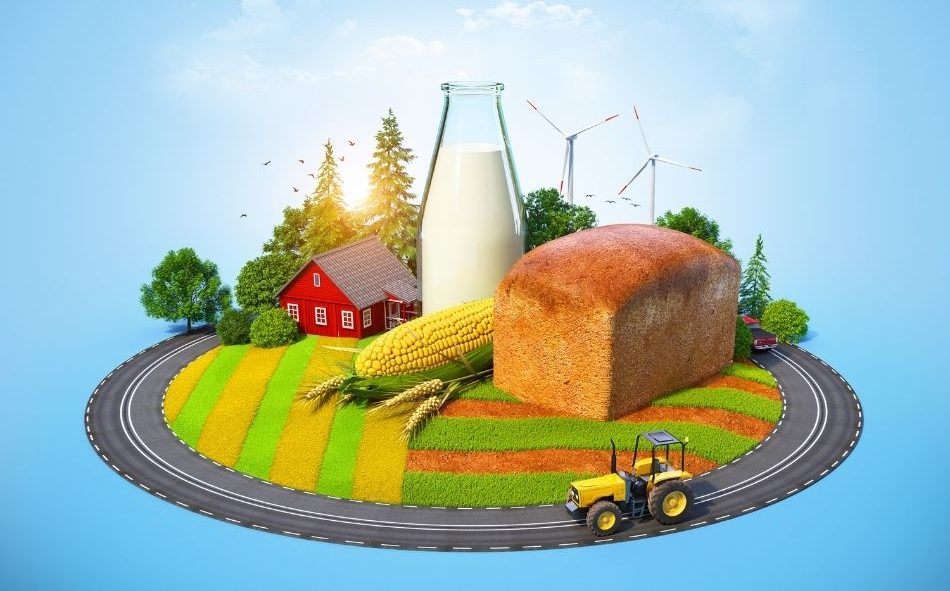 Rhinmilch Agrargesellschaft