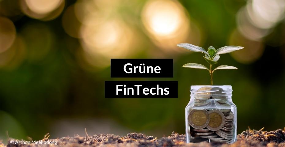 Grüne FinTechs: Wie Finanzdienstleister den Klimaschutz unterstützen