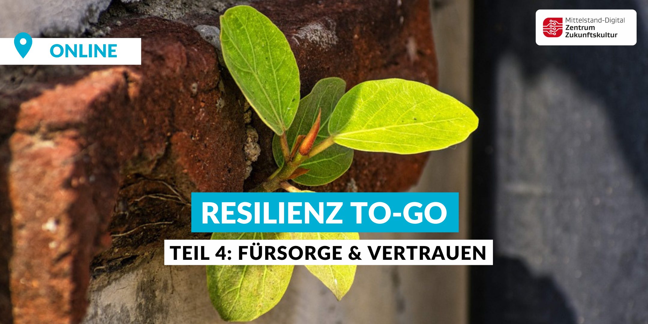 Resilienz to go